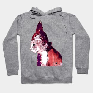 Valhalla Cat Hoodie